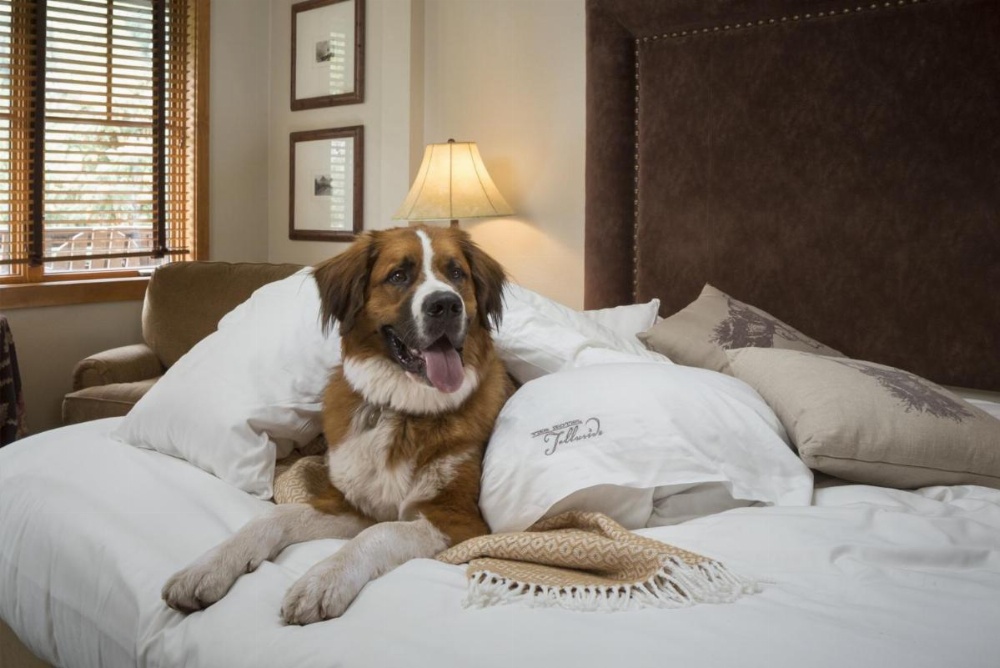 The Hotel Telluride Image 33